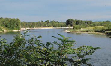ECOS - Settori - Parco del Ticino