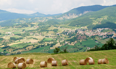 ECOS - Settori - Varsi (PR)