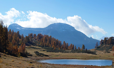 ECOS - Settori - Provincia di Verbano Cusio Ossola