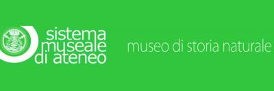 Museo di Storia Naturale dellâUniversitÃ  di Pavia