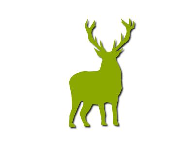 Gestione e conservazione della fauna e degli ecosistemi